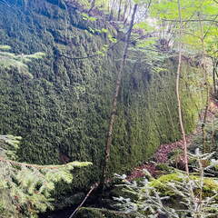 22-09-11 12-31-28 2005